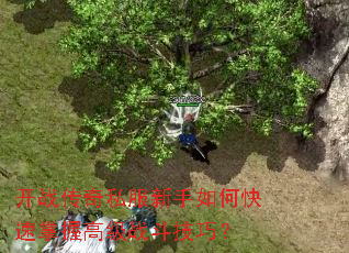 ��ս����˽��������ο������ո߼�ս�����ɣ�