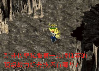 �¿�����˽����һƷ���Ƽ��Ķ���ս��������������Щ��