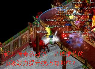 �¿�����˽����һƷ���Ƽ��Ķ���ս��������������Щ��