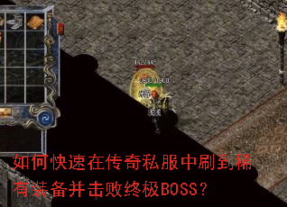 ��ο����ڴ���˽����ˢ��ϡ��װ���������ռ�BOSS��