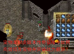 ���ﵥְҵ�汾����˽������θ�Ч�������ﲢͻ��ս��ƿ����