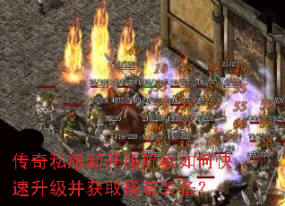 ����˽���¿��������ο�����������ȡϡ��װ����