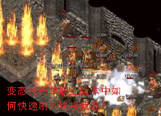 ��̬���浥ְҵ�汾����ο���ˢ���ռ�������