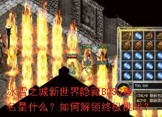 冰雪之城新世界隐藏BOSS真名是什么?如何解锁终极挑战? 冰雪之城新世界隐藏BOSS真名是什么?如何解锁终极挑战?