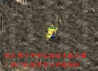 �����ĸ�����˽���汾��𱬣�����˽���Ƽ��빥�Խ���