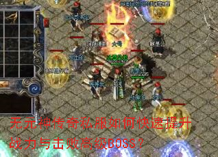 ��Ԫ����˽����ο�������ս������ܸ߼�BOSS��