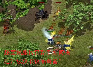 ����˽������������ο���������ȡ��Ʒװ����