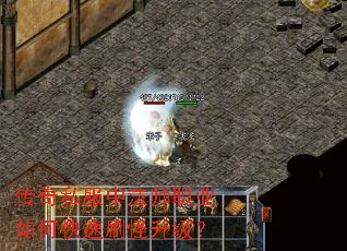 ����˽���з�ʦְҵ��ο���ˢ��������