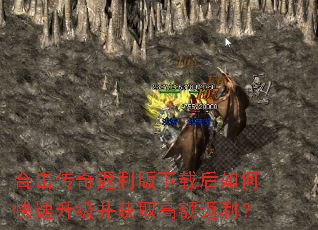 �ϻ����淵�������غ���ο�����������ȡ�߶����