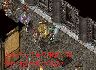 龙皇火龙传奇私服新手如何快速提升战力等级? 龙皇火龙传奇私服新手如何快速提升战力等级?