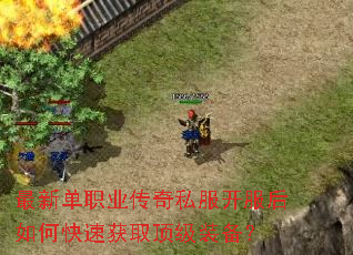 ���µ�ְҵ����˽����������ο��ٻ�ȡ����װ����