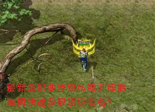 ���µ�ְҵ����˽����������ο��ٻ�ȡ����װ����