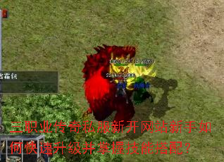 ��ְҵ����˽���¿���վ������ο������������ռ��ܴ��䣿