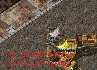 ���洫��˽������θ�Ч��ȡϡ��װ���뼼���飿