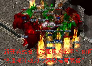 �¿�Ӣ�ۺϼ�˽����ұؿ�����ο�������ս�����ȡϡ��װ����