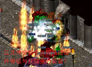 ��������������ο��������ȼ����ȡǿ��װ����