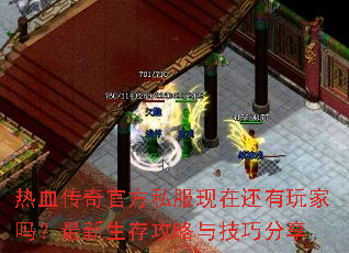 ��Ѫ����ٷ�˽�����ڻ���������������湥���뼼�ɷ���