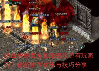 ��Ѫ����ٷ�˽�����ڻ���������������湥���뼼�ɷ���