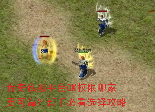 ����˽��ƽ̨GMȨ���ļҸ��ɿ������ֱؿ�ѡ����