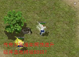 ����31˽����ο��������������ռ�BOSS��