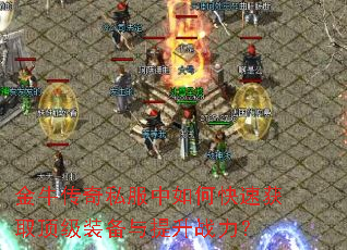 ��ţ����˽������ο��ٻ�ȡ����װ��������ս����