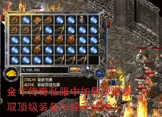 ��ţ����˽������ο��ٻ�ȡ����װ��������ս����