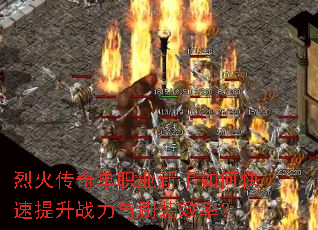 �һ��浥ְҵ������ο�������ս����ˢװЧ�ʣ�