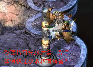 ΢�䴫��˽����ȫ��������ο��ٻ�ȡϡ��װ����