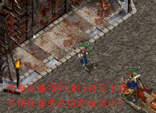 ����˽��ϵ�����а�ǰʮ���ֳ�����Щ��Ч�弶���ɣ�