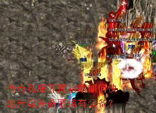 ����˽�����ĳ�����ο�����������ȡϡ��װ����