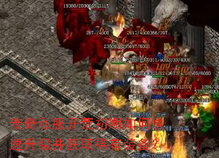 ����˽�����ĳ�����ο�����������ȡϡ��װ����