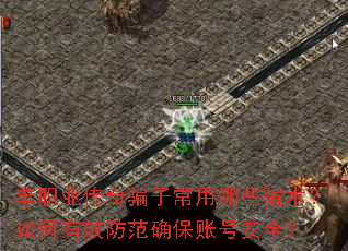 ��ְҵ����ƭ�ӳ�����Щƭ���������Ч����ȷ���˺Ű�ȫ��