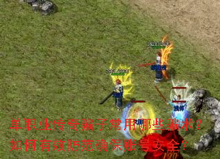 ��ְҵ����ƭ�ӳ�����Щƭ���������Ч����ȷ���˺Ű�ȫ��