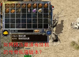 �����ѡ���ʺϹһ��Ĵ���˽���汾��