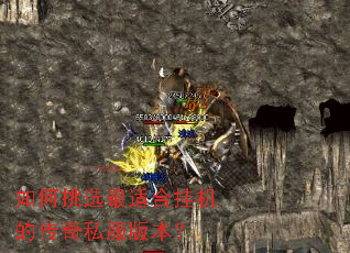 �����ѡ���ʺϹһ��Ĵ���˽���汾��