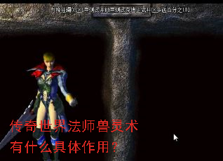 传奇世界法师兽灵术有什么具体作用? 传奇世界法师兽灵术有什么具体作用?