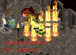 传奇世界法师兽灵术有什么具体作用? 传奇世界法师兽灵术有什么具体作用?