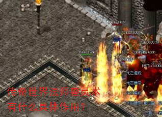 传奇世界法师兽灵术有什么具体作用? 传奇世界法师兽灵术有什么具体作用?