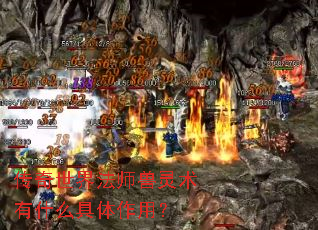 传奇世界法师兽灵术有什么具体作用? 传奇世界法师兽灵术有什么具体作用?