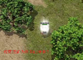 �����ڿ�Ϊ��������ࣿ