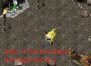 �����ƽ���������Ѫ�����п�������40����