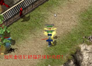 ��λ��ܶ���è��������Ⱥ��