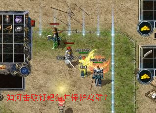 ��λ��ܶ���è��������Ⱥ��