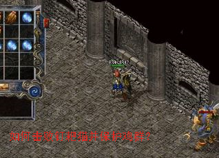 ��λ��ܶ���è��������Ⱥ��