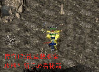 传奇176勋章获取全攻略?新手必看秘籍 传奇176勋章获取全攻略?新手必看秘籍