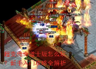 ���䴫���ʿ����ô�棿�������Ź���ȫ����