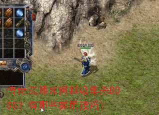 ���淨ʦ���Խ����ɱBOSS������Щʵ�ü��ɣ�