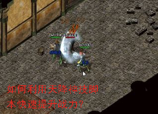 如何利用天降神技脚本快速提升战力? 如何利用天降神技脚本快速提升战力?