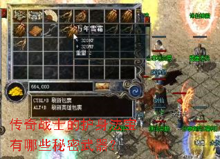 ����սʿ�Ļ�����������Щ����������