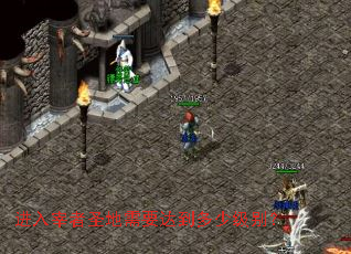 进入宰者圣地需要达到多少级别? 进入宰者圣地需要达到多少级别?